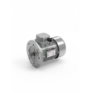 SINGLE-PHASE MOTOR 220V 2800 RPM B5