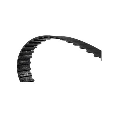 CINGHIA DENTATA H 100