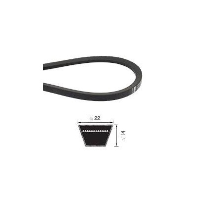 CINGHIA TRAPEZOIDALE SEZIONE "C" DA 100 A 300