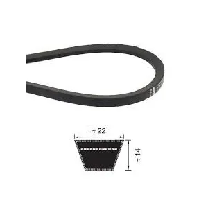 V-BELT SECTION "C" FROM 43 TO 99