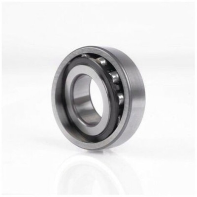 CUSCINETTI A RULLI A BOTTE ORIENTABILE 1 CORONA 203XX