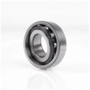 SINGLE-ROW BARREL-TYPE SPHERICAL ROLLER BEARINGS 203XX