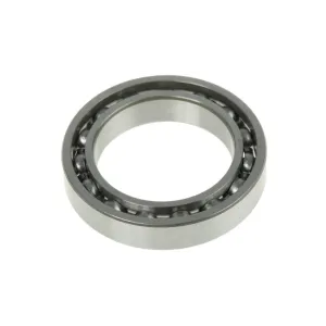 DEEP GROOVE BALL BEARINGS 619XX