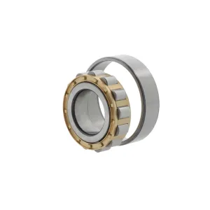 CYLINDRICAL ROLLER BEARINGS N 23XX