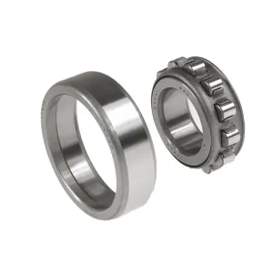 CYLINDRICAL ROLLER BEARINGS NF 2XX