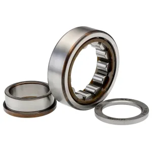 CYLINDRICAL ROLLER BEARINGS NUP 2XX