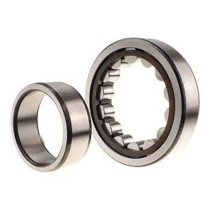 CYLINDRICAL ROLLER BEARINGS NU 2XX