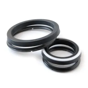 POLYPAC DS TYPE SEALS, FROM 094047 TO 629511