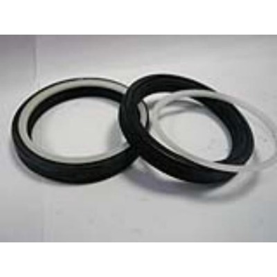 GUARNIZIONI TIPO POLYPAC GS DA 110157 A 393472