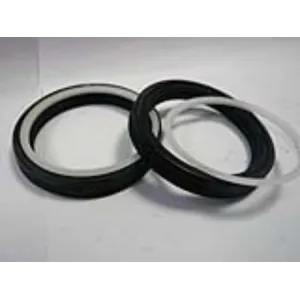POLYPAC GS TYPE SEALS, FROM 110157 TO 393472