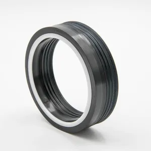 POLYPAC SM TYPE SEALS, FROM 129078 TO 669590