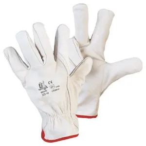 COWHIDE GRAIN LEATHER COLD-RESISTANT GLOVES THINSULATE PADDING FBF50