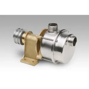 BRONZE PUMP WITH PULLEY