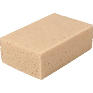 CAR SPONGE