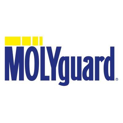 GRASSO INFUSIBILE AT-2 MOLIKOTE MOLYGUARD — KG 1