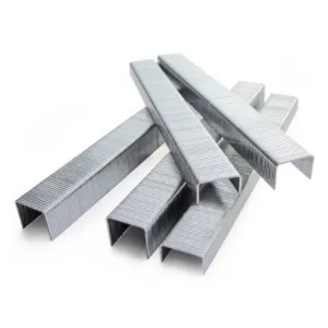 ROMEO MAESTRI 80/10 STAINLESS STEEL STAPLES — 10.000 PCS, STAINLESS STEEL