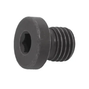 BLACK RECESSED HEXAGON PLUG BSP — 1/4" / 3/8" / 1/2" / 3/4"