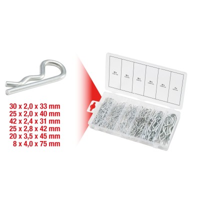 ASSORTIMENTO 150 FERMI ELASTICI A R