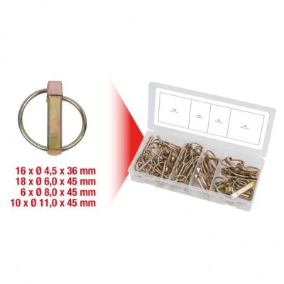 ASSORTIMENTO 50 PERNI DI SICUREZZA MM.6-11