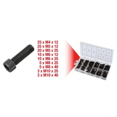 ASSORTIMENTO 106 VITI ESAGONO INCASSATO M4-M10 NERE