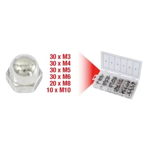 ASSORTMENT OF 150 STAINLESS STEEL DOME NUTS M3-M10