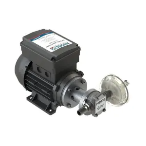 GEAR ELECTRIC PUMP FOR FLUID PUMPING L.9 220 V