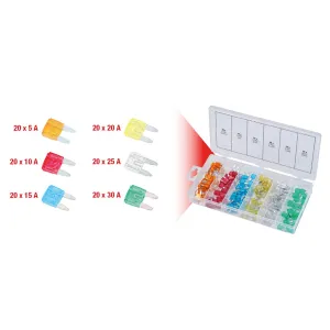 ASSORTMENT OF 120 MINI FUSES 5A-30A