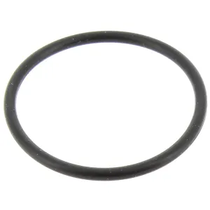 GUARNIZIONE OR 25,12X1,78 RIF.2100 3.200.0003